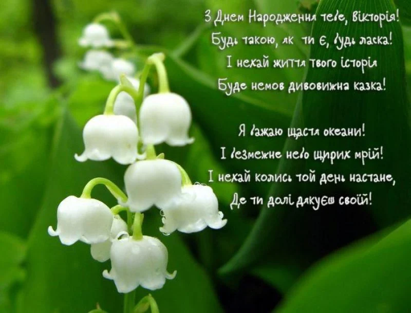 з днем народження, Вікторіє, прикольні