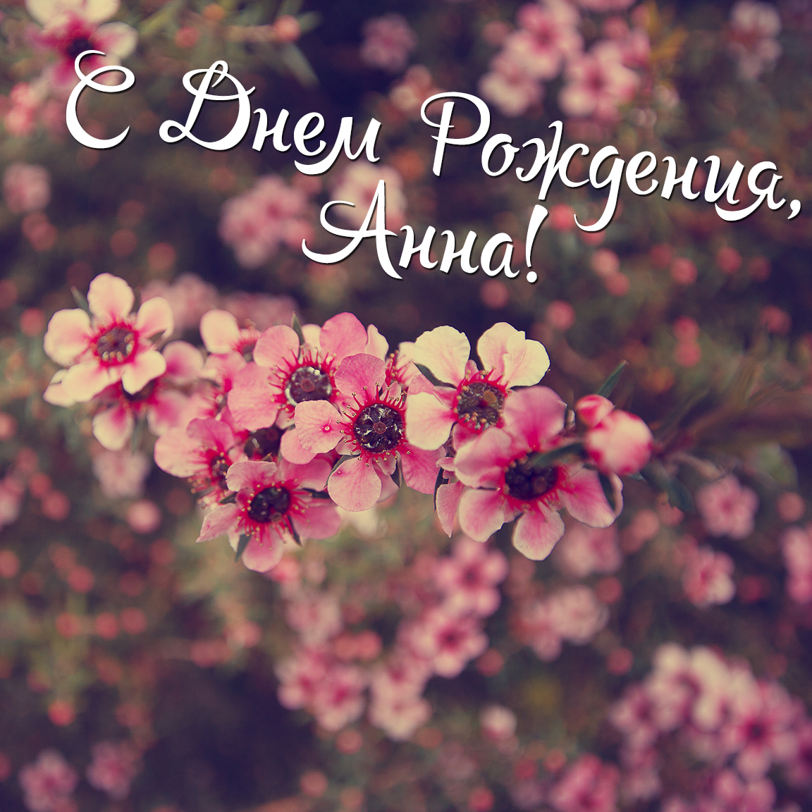 день рождения Анна поздравления прикольные