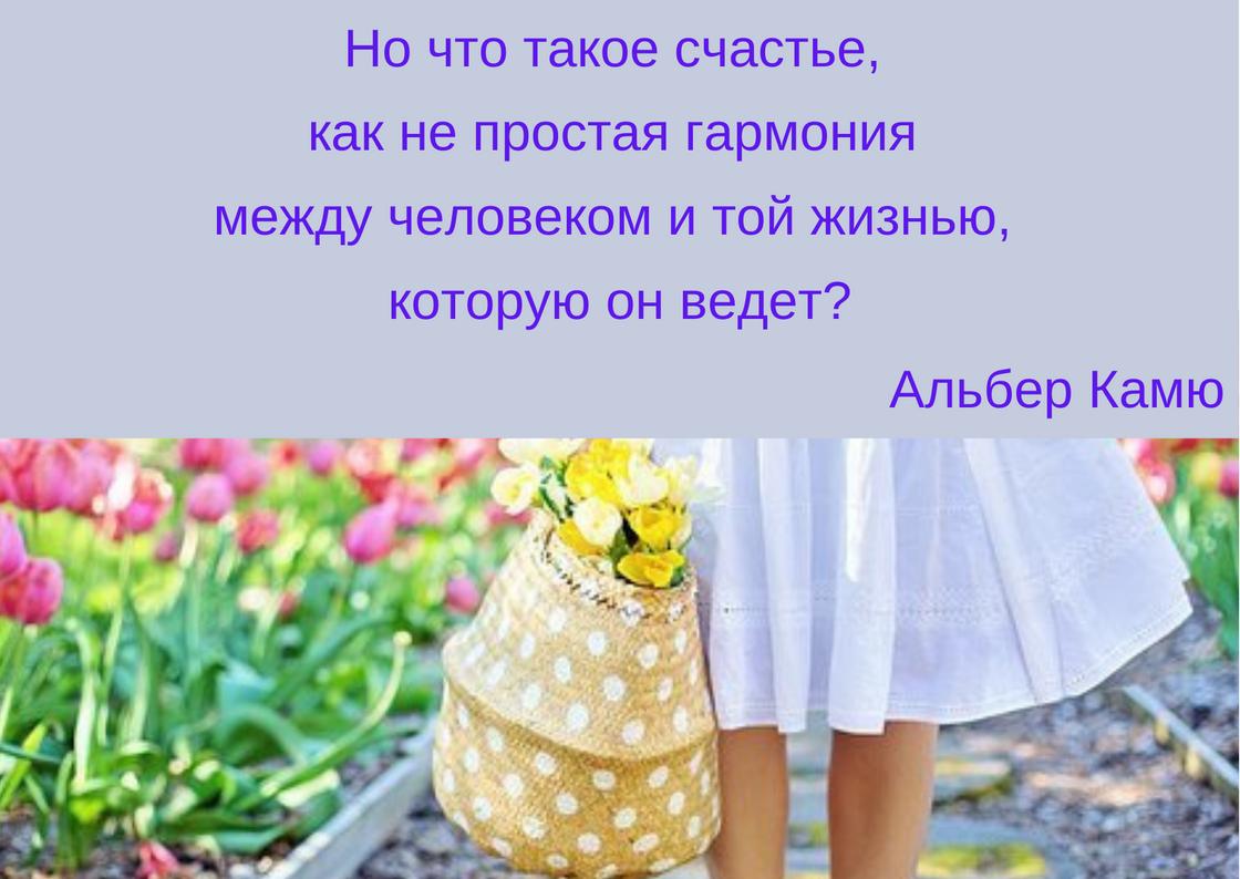 счастье афоризмы