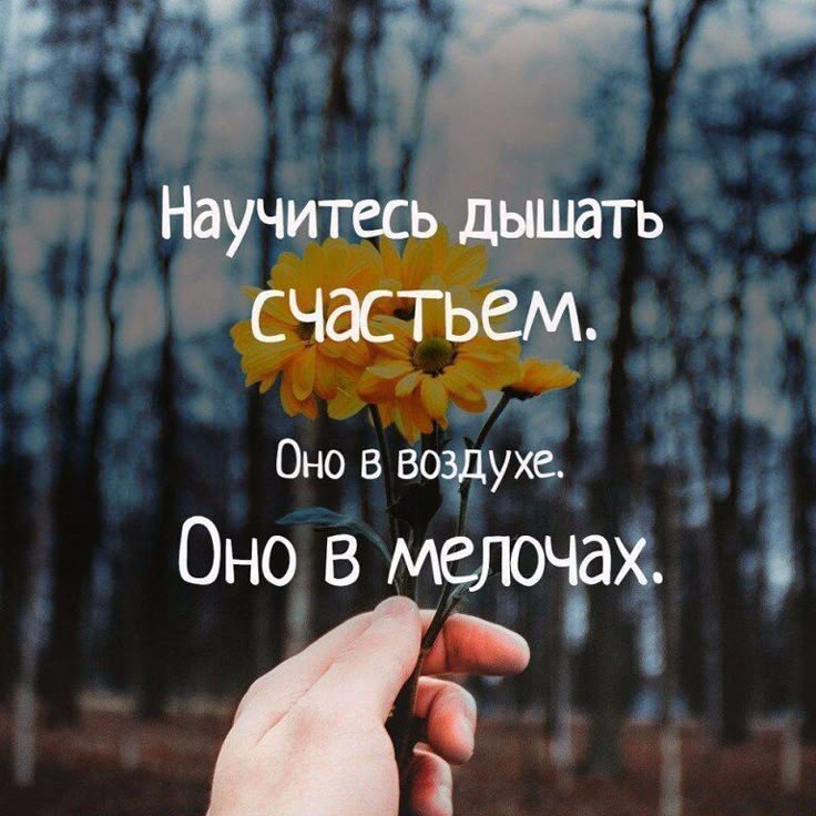 счастье высказывания